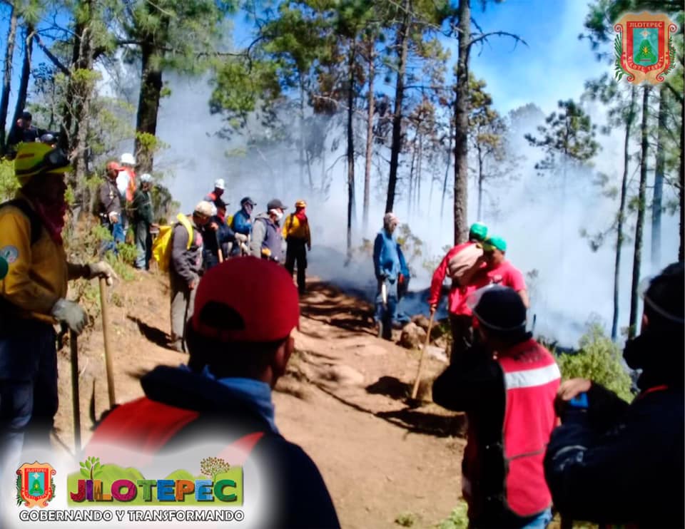 Protección Civil en el incendio forestal Protección Civil en el incendio forestal