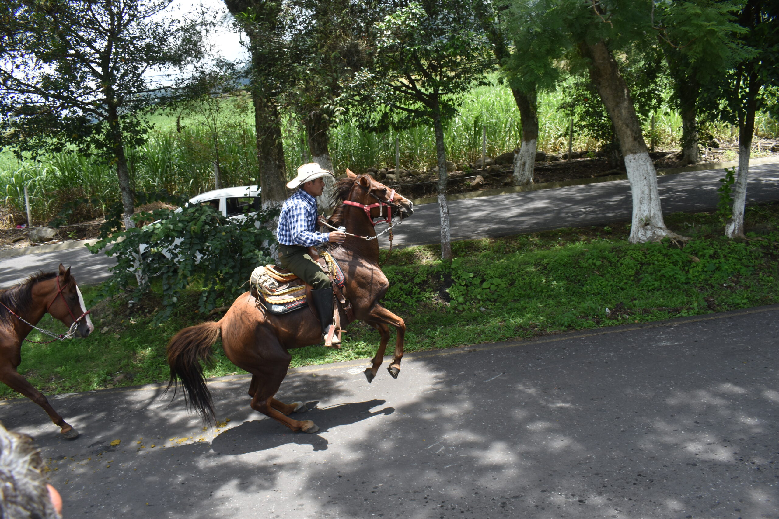 Cabalgata en honor a la Virgen de La Asunción.